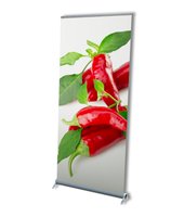RollUp EXPO